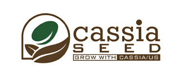 Cassia Seed