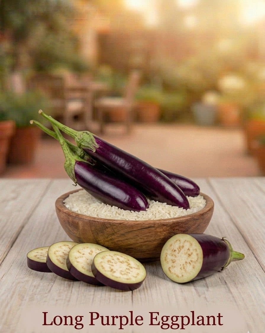 Long Purple Eggplant