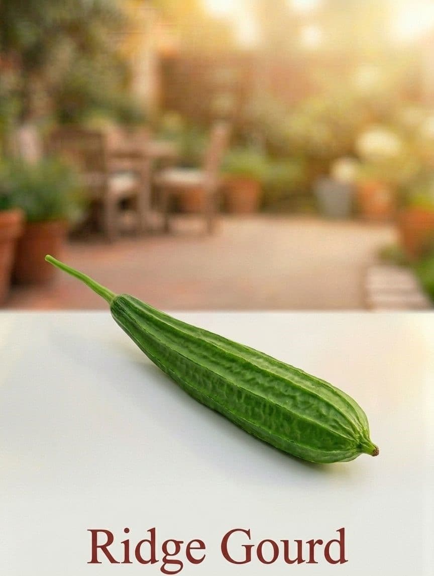 Ridge Gourd